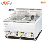 Friggitrice a gas da 14 litri con 2 serbatoi 