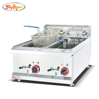 Friggitrice elettrica a doppio serbatoio con 14 vasche