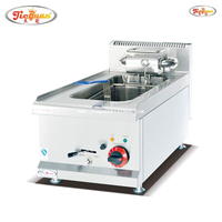 Friggitrice elettrica DF-635 a serbatoio singolo da 14 litri